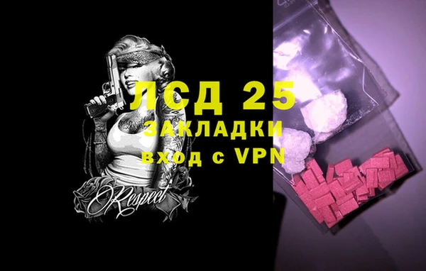 стафф Алексин
